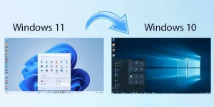 Windows 11 và Windows 10