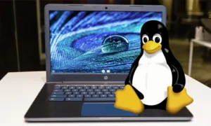 Linux