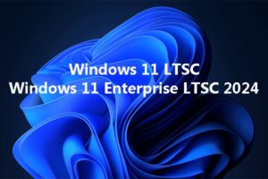 Windows 11 LTSC