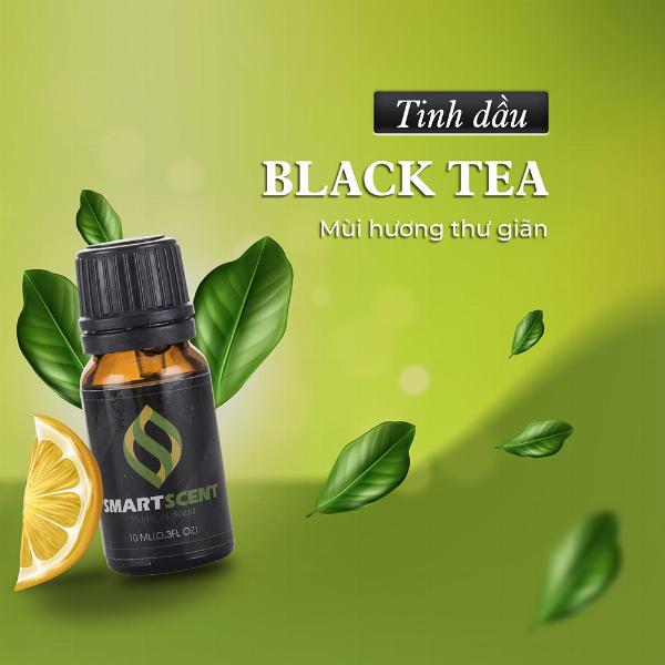Kiểm tra mùi hương tinh dầu