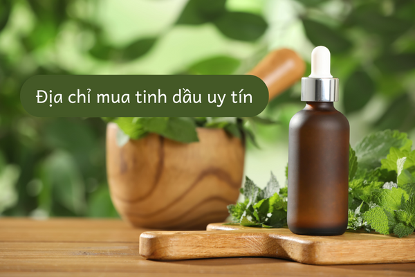 Tìm Nơi Bán Tinh Dầu Uy Tín
